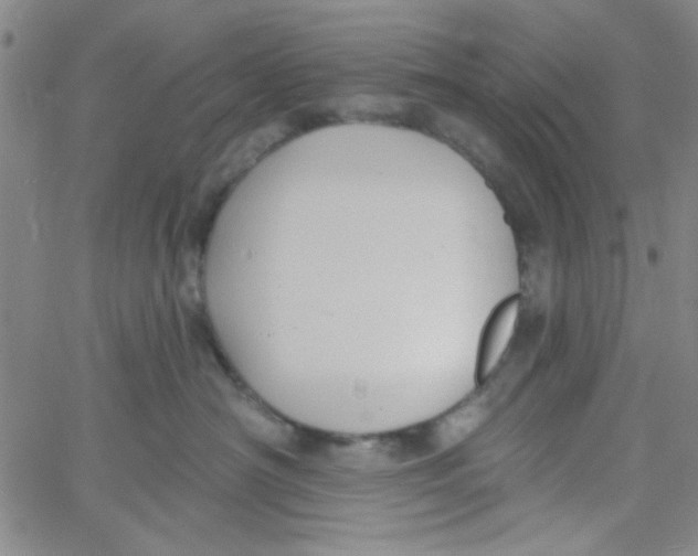 X0000061730430200512231439