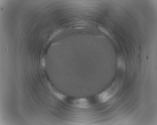 X0000061730431200512231439