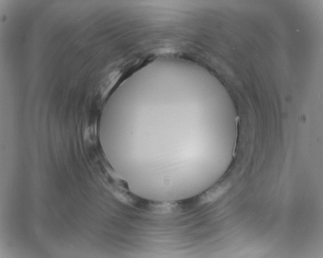 X0000061730432200512231439