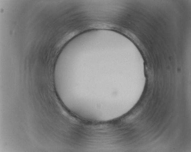 X0000061730433200512231438