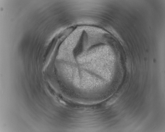 X0000061730434200512231438