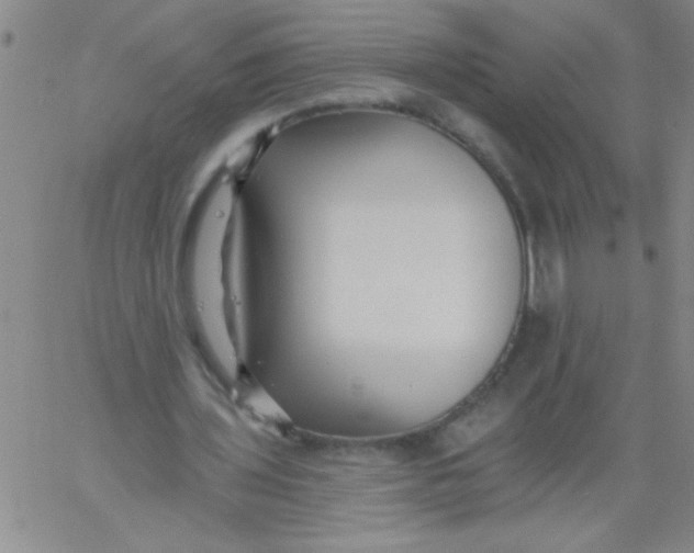 X0000061730435200512231438