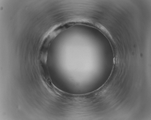 X0000061730436200512231438