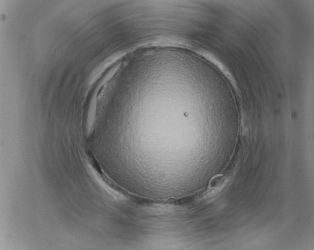 X0000061730437200512231438