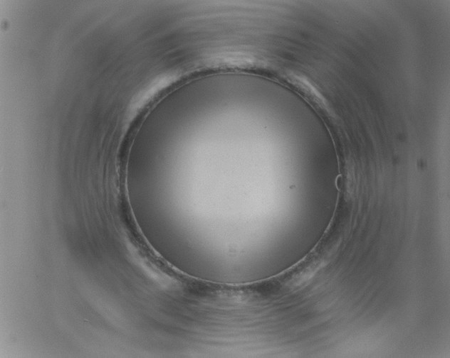 X0000061730439200512231438