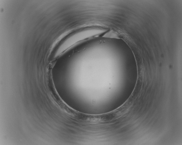 X0000061730440200512231439