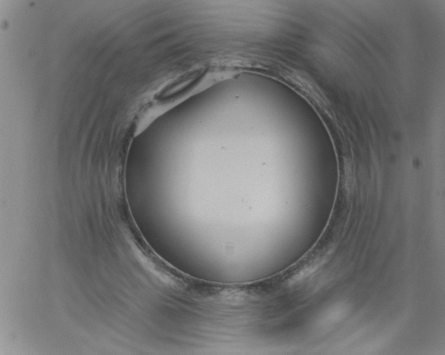 X0000061730441200512231439