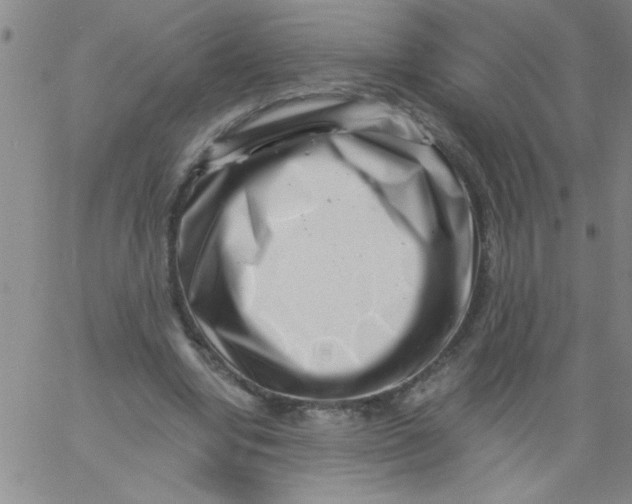 X0000061730442200512231439