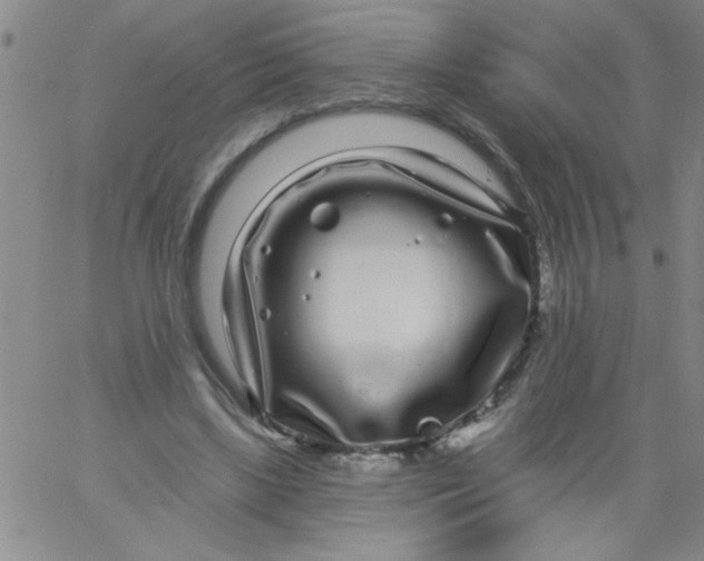 X0000061730443200512231439