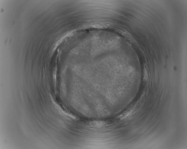 X0000061730444200512231439