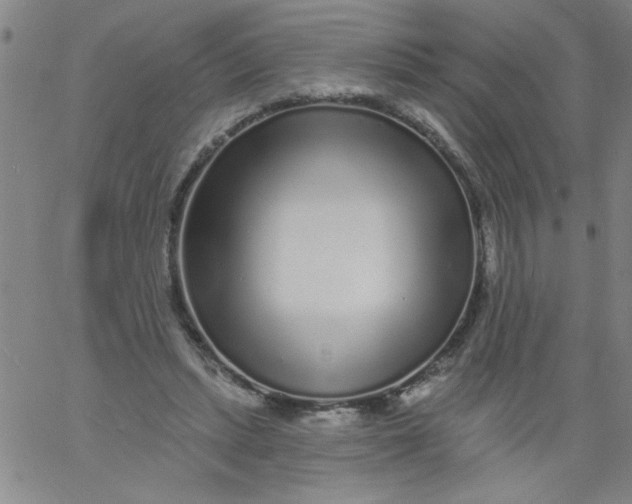 X0000061730447200512231439