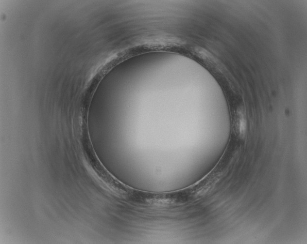 X0000061730448200512231439