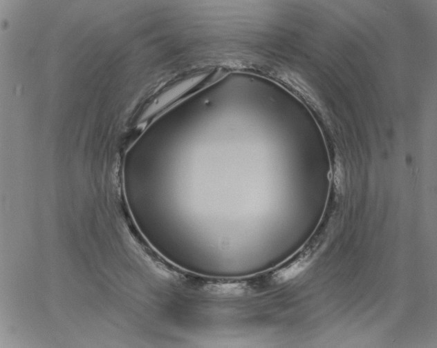 X0000061730449200512231439