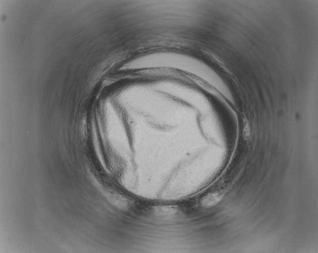 X0000061730451200512231439