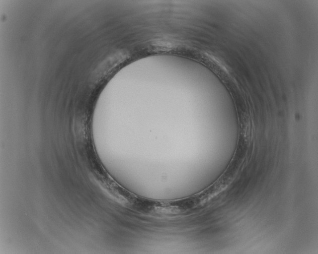 X0000061730455200512231439