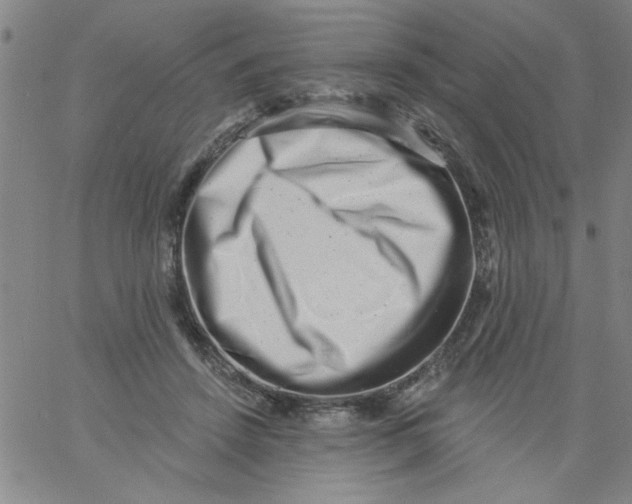 X0000061730456200512231439