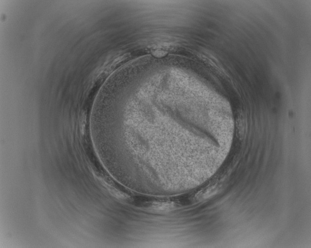 X0000061730458200512231439