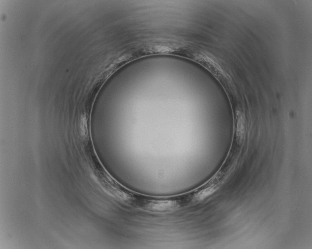 X0000061730459200512231439