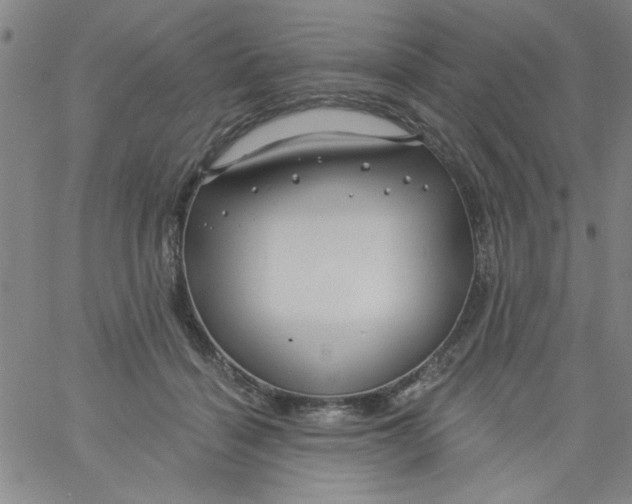 X0000061730460200512231439