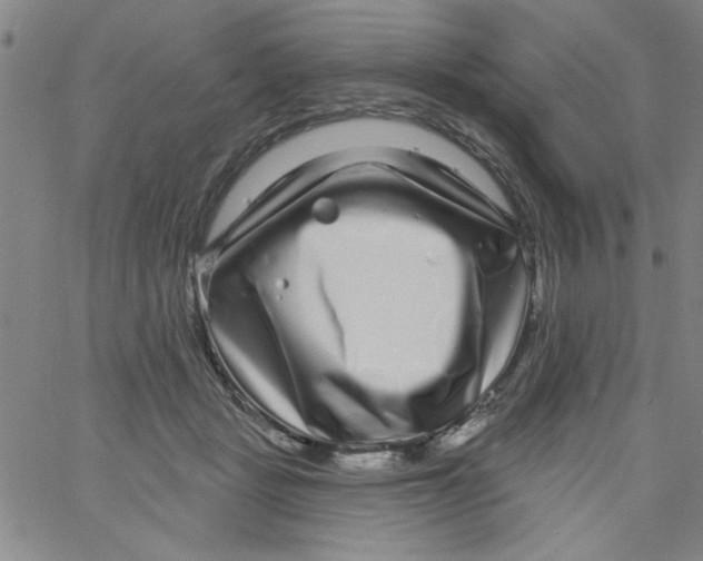 X0000061730461200512231439