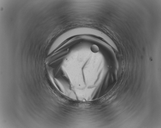 X0000061730462200512231439