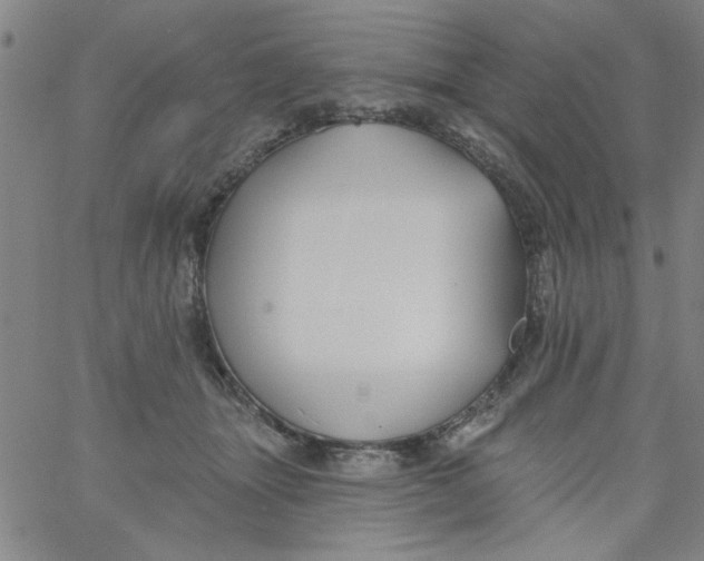 X0000061730463200512231439