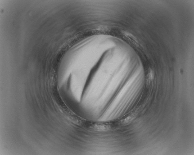 X0000061730464200512231439