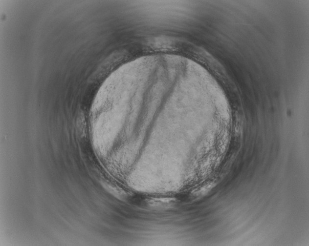 X0000061730465200512231439