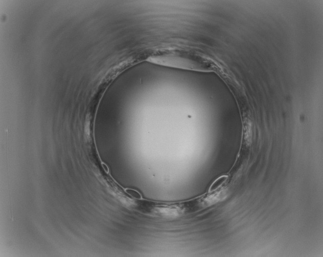 X0000061730466200512231439