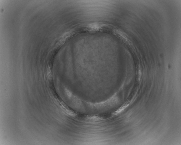 X0000061730467200512231439