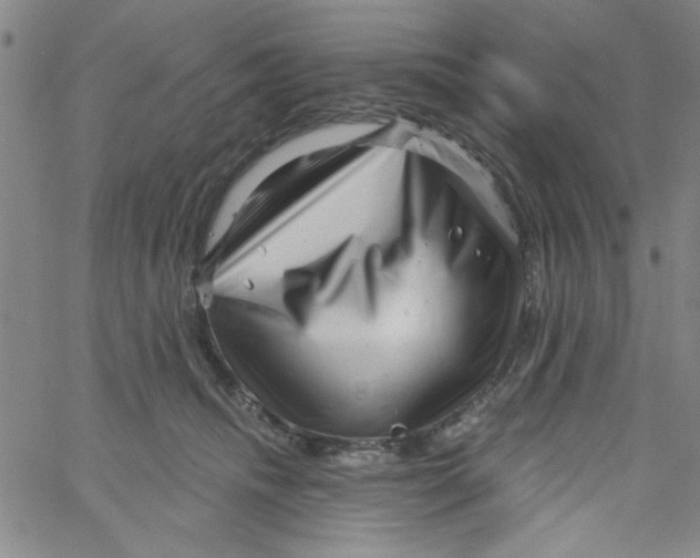 X0000061730468200512231439