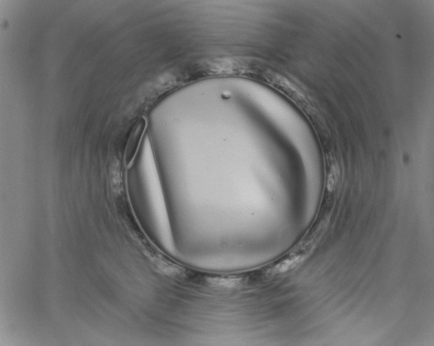 X0000061730469200512231439