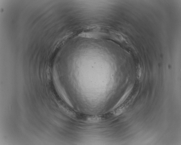 X0000061730470200512231439