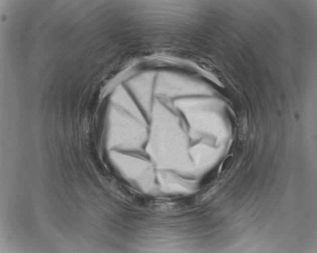 X0000061730472200512231439