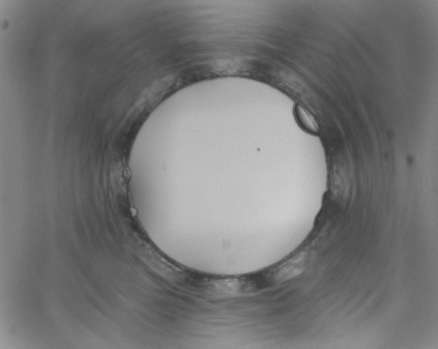 X0000061730473200512231439