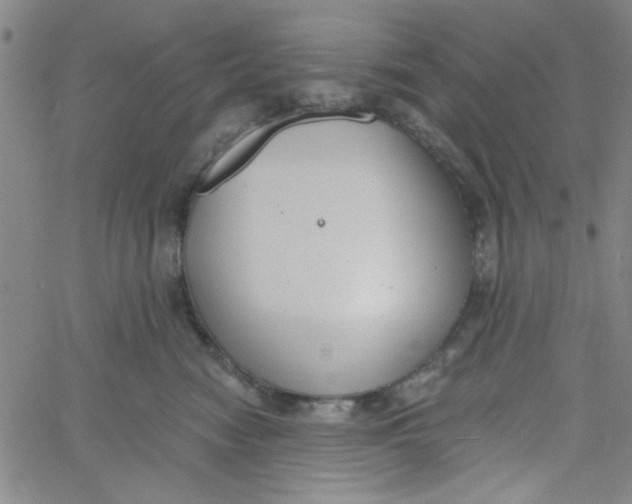 X0000061730474200512231439