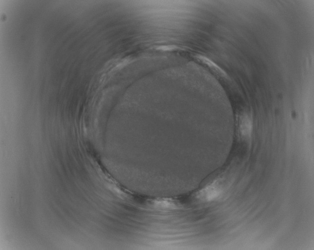 X0000061730475200512231439