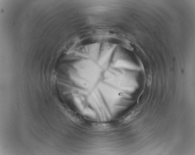 X0000061730476200512231439