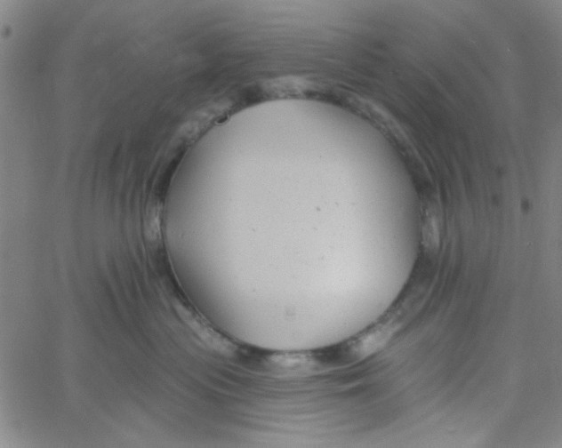 X0000061730477200512231439