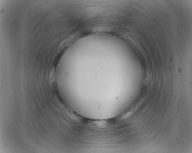 X0000061730478200512231439