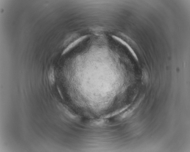 X0000061730479200512231439