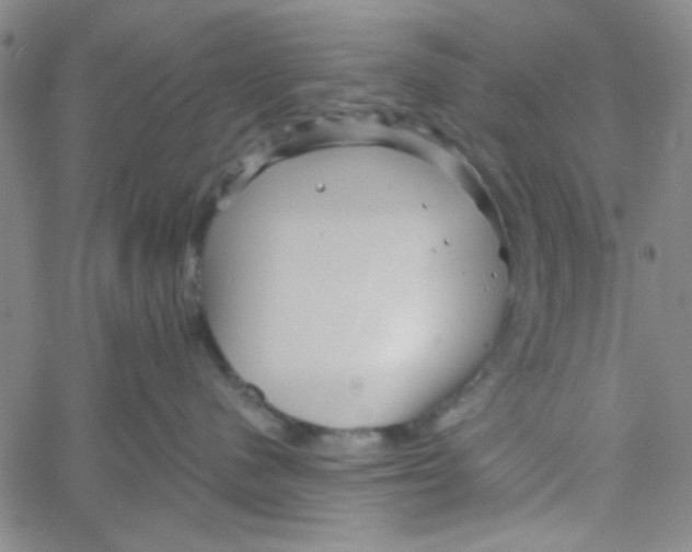 X0000061730480200512231439