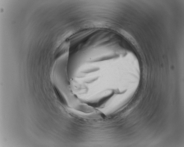 X0000061730481200512231438