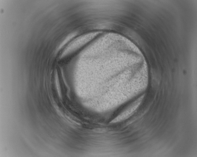 X0000061730482200512231438