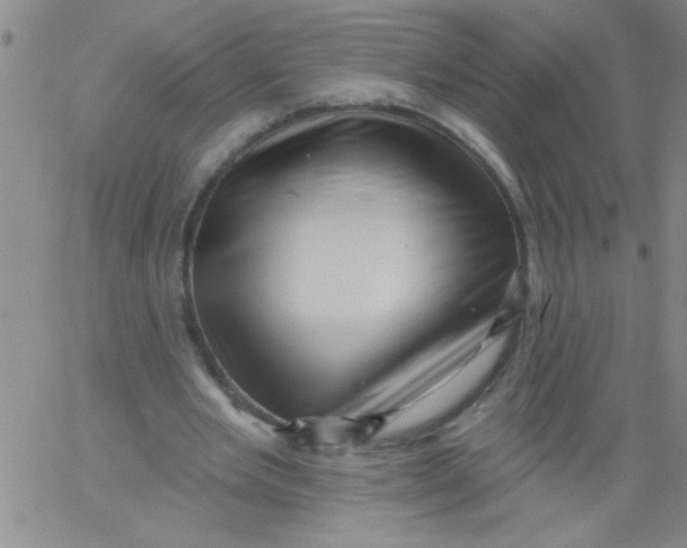 X0000061730485200512231438