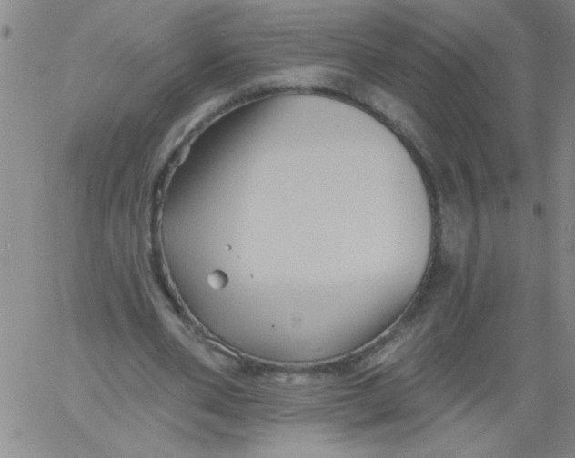 X0000061730486200512231438