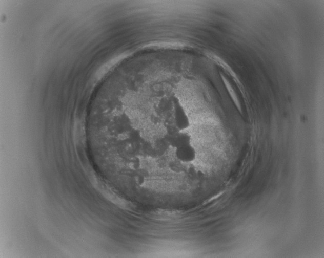 X0000061730487200512231438