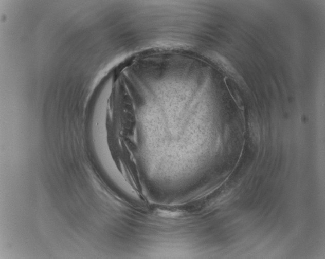 X0000061730488200512231438