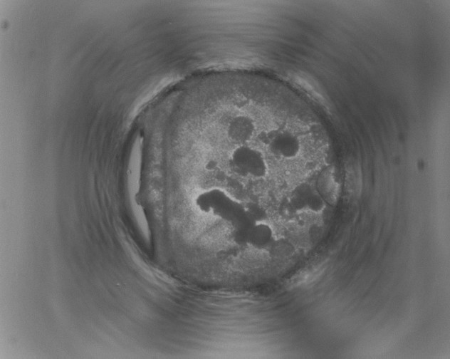 X0000061730491200512231438