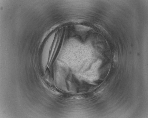 X0000061730492200512231438